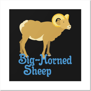 Big Horned Sheep Posters and Art